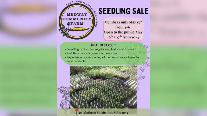 Thumbnail image for Medway Community Farm Seedling Sale and Golf Promo 2026