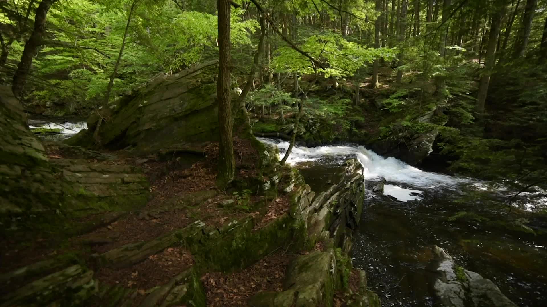 Thumbnail image for Cablecast_TestFootageCompilation_VIOLite